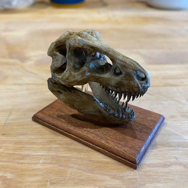 3D Printed Skulls