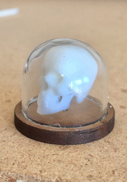 3D Printed Skulls