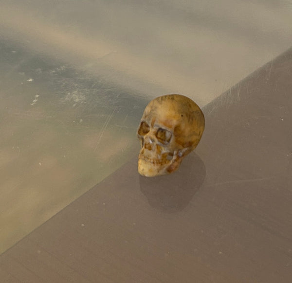 3D Printed Skulls